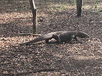 IMG_3783