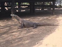 IMG_3790