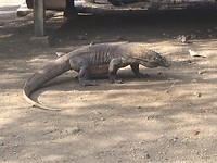 IMG_3791