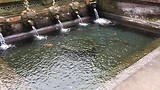 201707 Gunung Kawi Sebatu water tempel