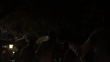 201707 Ubud  Ashram Munivara ceremonie 1