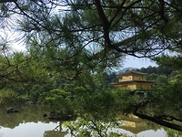 08D46255-5A21-4DBB-A7A9-FFBED46F1B1F