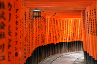 76642A9F-6787-4010-B6C6-FAC65FA2D2EE