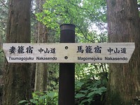 2251AB84-489A-4BF6-A520-624CFE5F9CEB