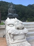 DA118C55-1EA2-443F-8D62-75A59C917078