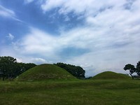 B01E685C-E5E8-4BF0-9654-740ABB9C559C