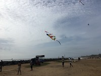 56DF211B-EAEC-40D2-95E0-93AC21D35AD7