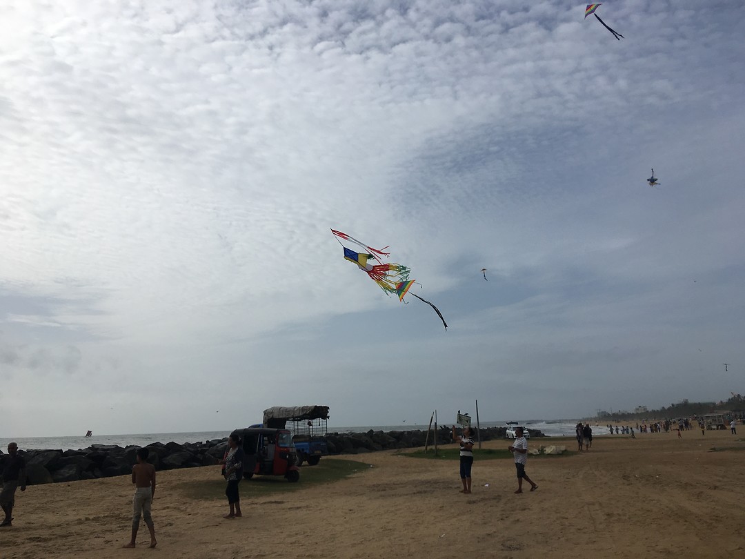56DF211B-EAEC-40D2-95E0-93AC21D35AD7