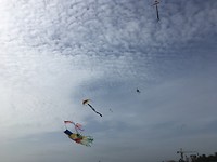 0012FEB7-83E8-434F-88D7-ECCDBD2070DC