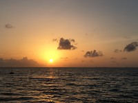 56F6C3EA-814B-4CA9-8C7B-B66EE1C16547