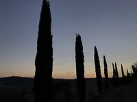 BD10D9BB-4E8C-44F5-9044-D7963ADA68A5