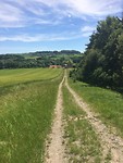 Schillingsfürst in de verte