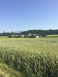 Raustetten