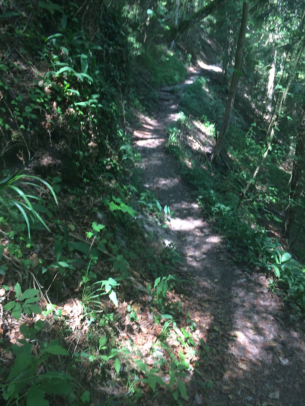 Ammerschlucht
