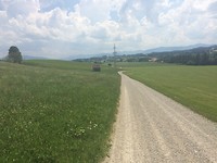 Over de alm