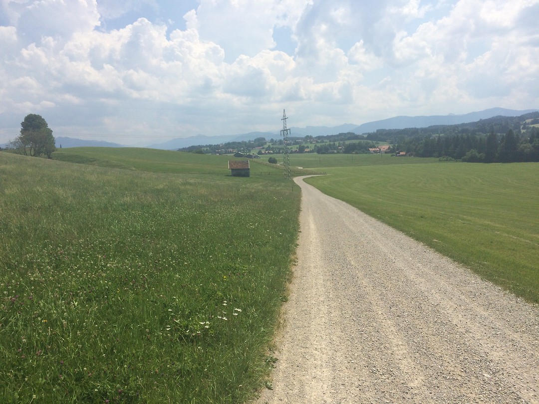 Over de alm
