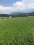 Over de alm