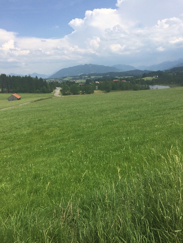 Over de alm