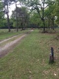 Het Pieterpad tussen Schoonlo en Rolde