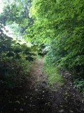 Vrijwel onbegaanbaar door weinig gebruik komt nogal eens voor