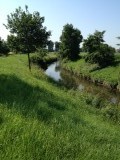 Langs de Wurm in het vlakke