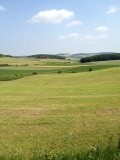 Een veel opener landschap