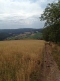 Een afwisselend Odenwald met graan ..