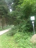 Fietspad in het dal van de Tauber