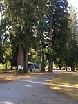 Mount Rainier National park