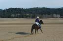 Even over het strand galopperen