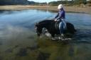 Door het water....brghh