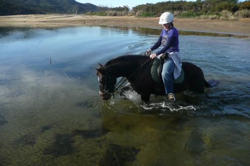 Door het water....brghh
