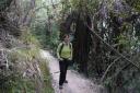 Ik in the jungle;-)