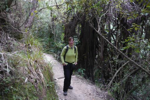 Ik in the jungle;-)
