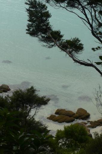 Schitterend helder water