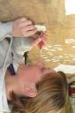 Bowncarving; het optekenen.