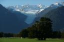 Fox Glacier