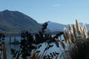 Wanaka-lake