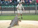 De Australian zoo heeft natuurlijk veel 'crocs'