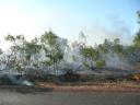 Een gecontroleerde bosbrand