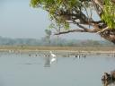 Op de billabong