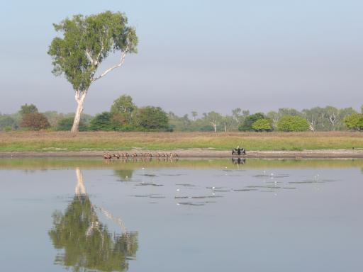 Op de billabong