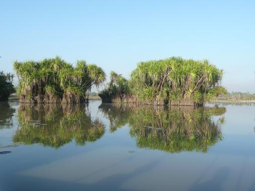 Op de billabong