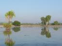 Op de billabong