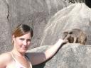 Rock wallibies