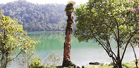 IMG_20200208_100234