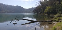 IMG_20200208_094623_1
