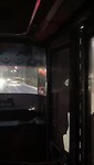 Chickenbus