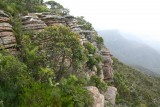 Mount Wiliam The Grampians