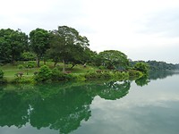 MacRitchie Reservoir Park